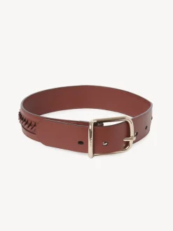 Ceintures-Chloé Ceinture Joe Sepia Brown