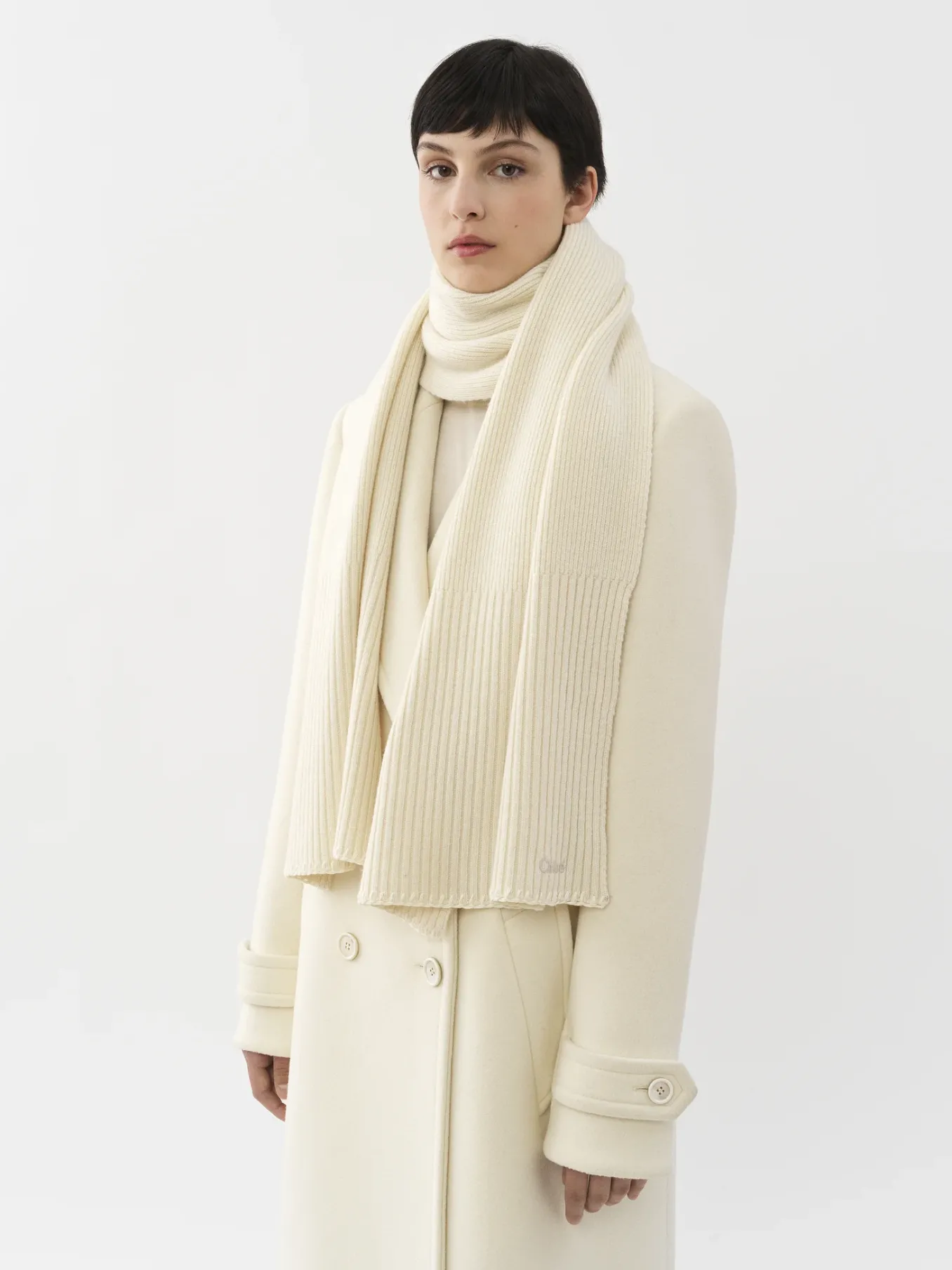 Écharpes Et Accessoires En Soie-Chloé Echarpe Eden White