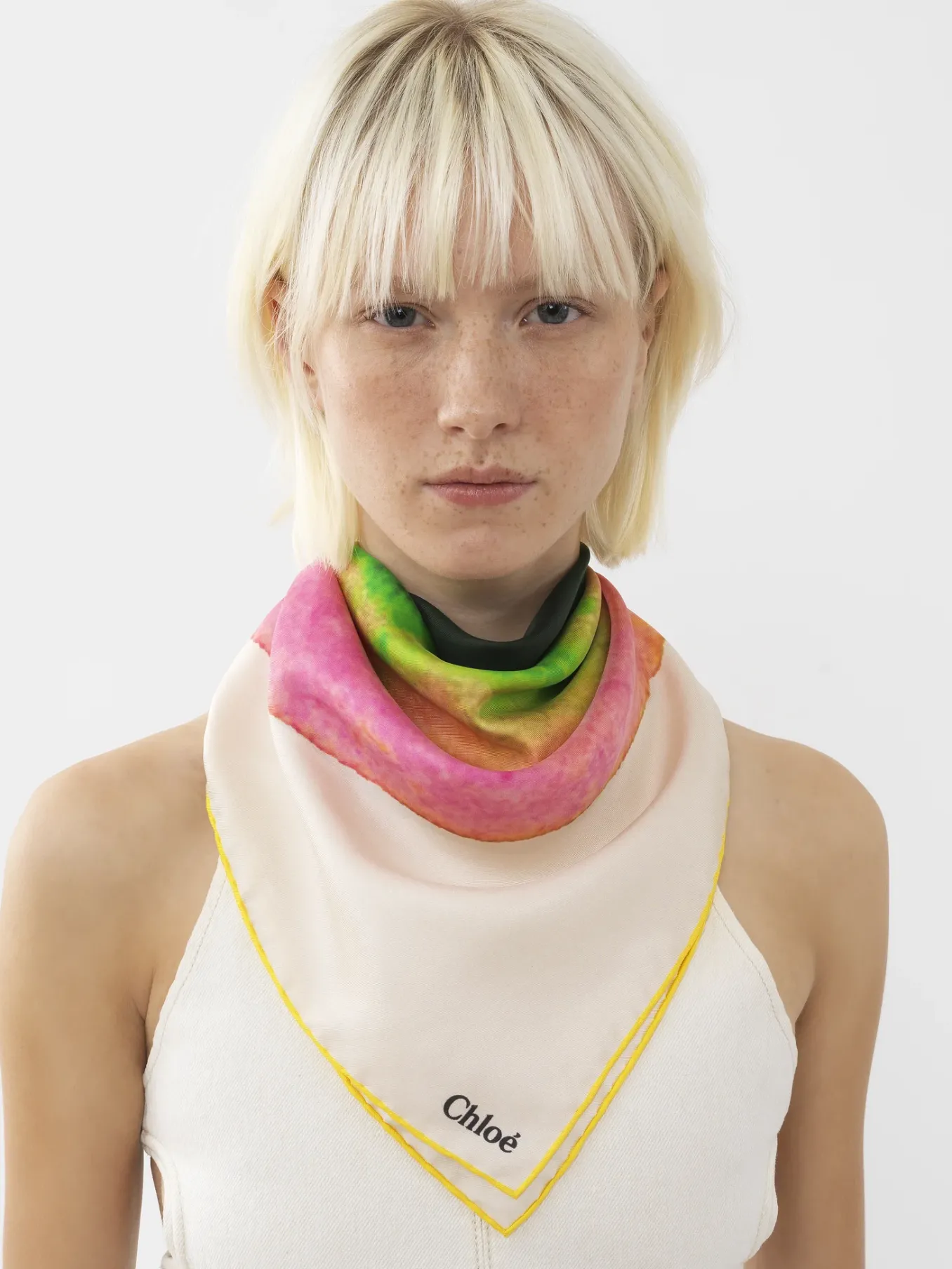 Écharpes Et Accessoires En Soie-Chloé Foulard Pink - Green 1